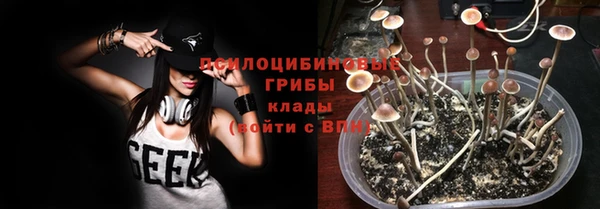 наркотики Каменка