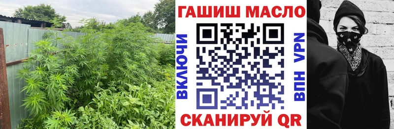 Дистиллят ТГК Wax  Купить где  Медвежьегорск 