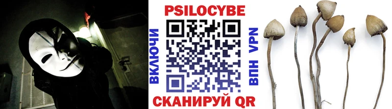 Купить закладки  Медвежьегорск  Галлюциногенные грибы ЛСД 